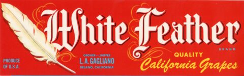 White%Feather